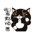 Truth Cat - Life Marquee - 1（個別スタンプ：14）