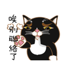 Truth Cat - Life Marquee - 1（個別スタンプ：15）