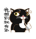 Truth Cat - Life Marquee - 1（個別スタンプ：17）