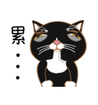 Truth Cat - Life Marquee - 1（個別スタンプ：21）