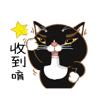Truth Cat - Life Marquee - 1（個別スタンプ：27）
