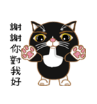 Truth Cat - Life Marquee - 1（個別スタンプ：28）