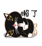 Truth Cat - Life Marquee - 1（個別スタンプ：31）