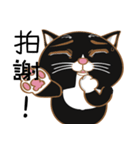 Truth Cat - Life Marquee - 1（個別スタンプ：33）