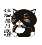 Truth Cat - Life Marquee - 1（個別スタンプ：37）