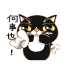 Truth Cat - Life Marquee - 1（個別スタンプ：39）
