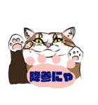 ちょっと不思議な猫パック（個別スタンプ：14）