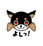 ブラックタンのチワワのひとりごと（個別スタンプ：5）