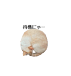 白桃猫猫1（個別スタンプ：21）