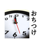 【実写】時計☆取り急ぎ連絡まで（個別スタンプ：5）