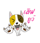 Thai lovely dogs（個別スタンプ：21）