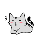 YIREN CAT（個別スタンプ：16）