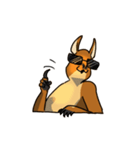 Straya Roo（個別スタンプ：11）