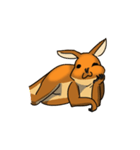 Straya Roo（個別スタンプ：13）