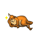 Straya Roo（個別スタンプ：14）
