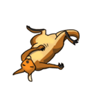 Straya Roo（個別スタンプ：18）