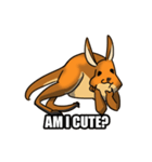 Straya Roo（個別スタンプ：21）