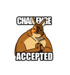 Straya Roo（個別スタンプ：30）