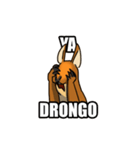 Straya Roo（個別スタンプ：39）