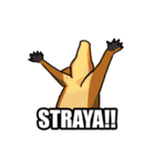 Straya Roo（個別スタンプ：40）