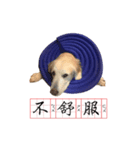 DingDing Day (2)（個別スタンプ：2）