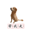 DingDing Day (2)（個別スタンプ：3）