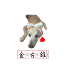 DingDing Day (2)（個別スタンプ：5）
