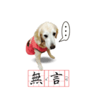 DingDing Day (2)（個別スタンプ：6）