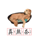 DingDing Day (2)（個別スタンプ：7）