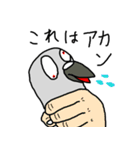 Good Birds（個別スタンプ：4）