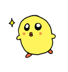 雑なひよこちゃん（個別スタンプ：1）