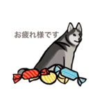 動物大好き！いろいろ動物スタンプ（個別スタンプ：6）