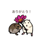 動物大好き！いろいろ動物スタンプ（個別スタンプ：7）