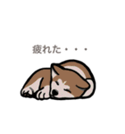 動物大好き！いろいろ動物スタンプ（個別スタンプ：13）