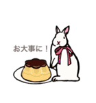 動物大好き！いろいろ動物スタンプ（個別スタンプ：15）