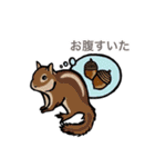 動物大好き！いろいろ動物スタンプ（個別スタンプ：16）