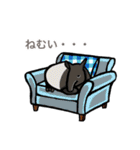 動物大好き！いろいろ動物スタンプ（個別スタンプ：19）