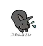 動物大好き！いろいろ動物スタンプ（個別スタンプ：24）