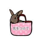 動物大好き！いろいろ動物スタンプ（個別スタンプ：25）