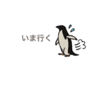 動物大好き！いろいろ動物スタンプ（個別スタンプ：26）