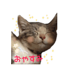 猫にゃ・にゃ・にゃ！part2（個別スタンプ：12）