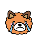 BOBO＆NAINAI（個別スタンプ：37）