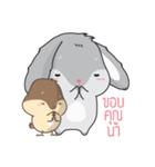 PITI THE COOL RABBIT（個別スタンプ：5）