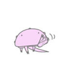 カプトカニ（個別スタンプ：1）