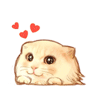 タマ 実写風猫スタンプ（個別スタンプ：1）