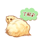 タマ 実写風猫スタンプ（個別スタンプ：6）