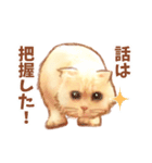 タマ 実写風猫スタンプ（個別スタンプ：8）