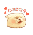 タマ 実写風猫スタンプ（個別スタンプ：9）