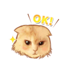 タマ 実写風猫スタンプ（個別スタンプ：13）