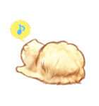 タマ 実写風猫スタンプ（個別スタンプ：14）